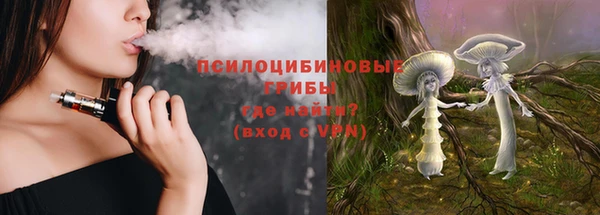 PSILOCYBIN Балахна