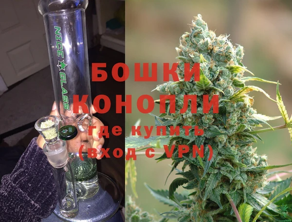 PSILOCYBIN Балахна