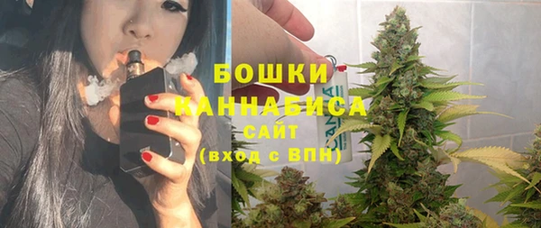 PSILOCYBIN Балахна