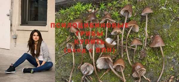 PSILOCYBIN Балахна
