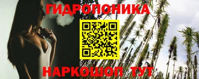 дживик Можга