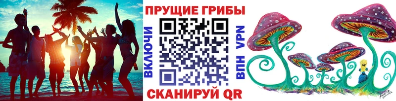 где купить наркотик  Горно-Алтайск  Псилоцибиновые грибы мухоморы 