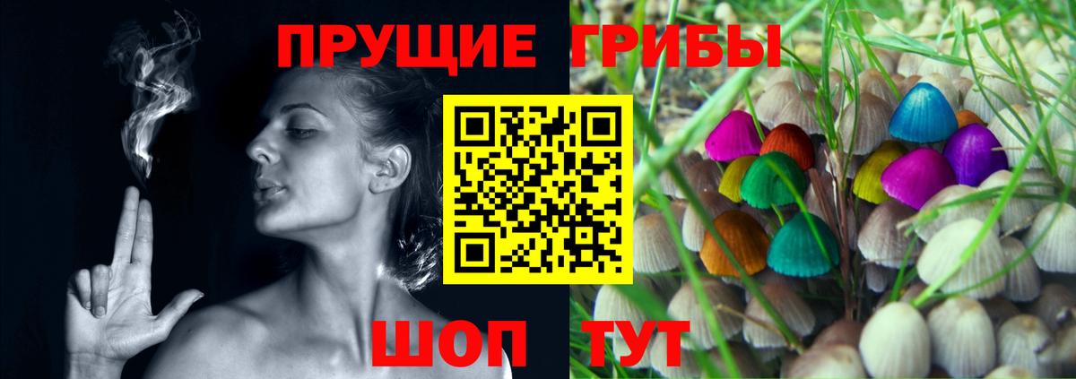 Псилоцибиновые грибы мухоморы  наркота  Псилоцибиновые грибы Magic Shrooms  Горно-Алтайск  Вход с VPN 